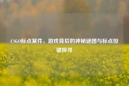 CSGO标点案件,游戏背后的神秘谜团与标点按键探寻