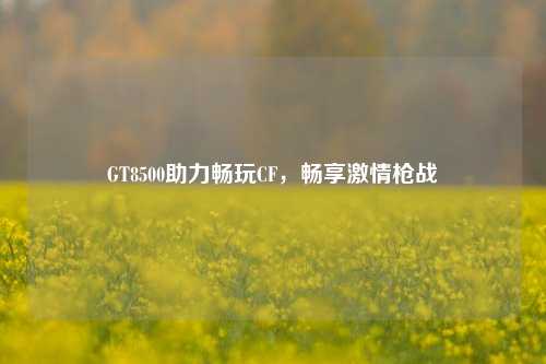 GT8500助力畅玩CF，畅享激情枪战