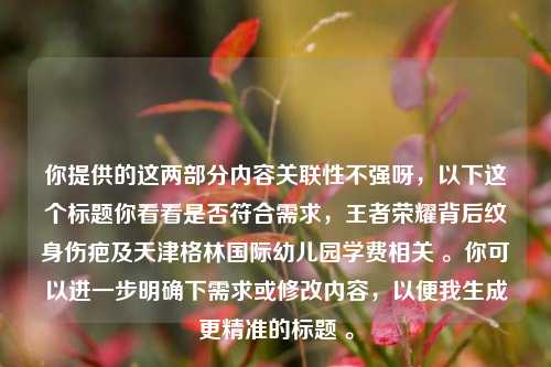 你提供的这两部分内容关联性不强呀,以下这个标题你看看是否符合需求,王者荣耀背后纹身伤疤及天津格林国际幼儿园学费相关 。你可以进一步明确下需求或修改内容,以便我生成更精准的标题 。