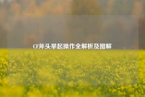 CF斧头举起操作全解析及图解