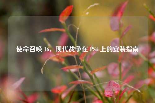 使命召唤 16，现代战争在 PS4 上的安装指南