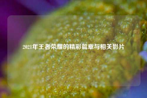 2021年王者荣耀的精彩篇章与相关影片