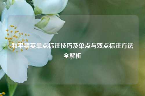 和平精英单点标注技巧及单点与双点标注方法全解析
