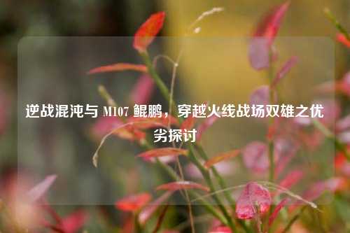 逆战混沌与 M107 鲲鹏，穿越火线战场双雄之优劣探讨