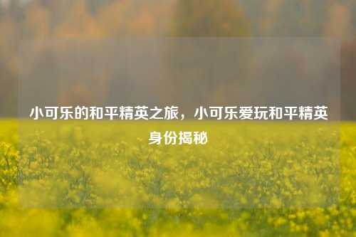 小可乐的和平精英之旅,小可乐爱玩和平精英身份揭秘