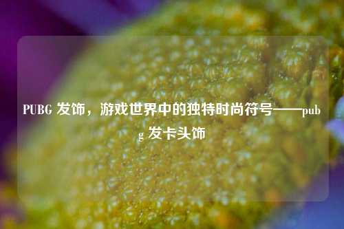 PUBG 发饰,游戏世界中的独特时尚符号——pubg 发卡头饰