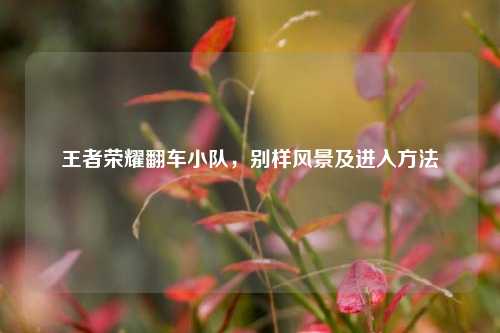 王者荣耀翻车小队，别样风景及进入方法