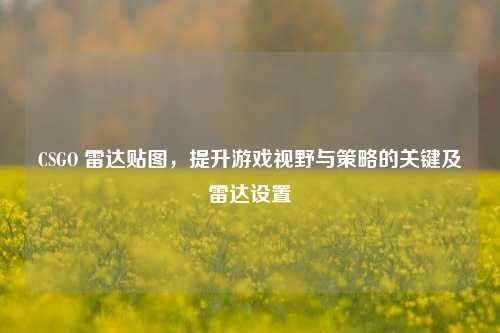 CSGO 雷达贴图,提升游戏视野与策略的关键及雷达设置