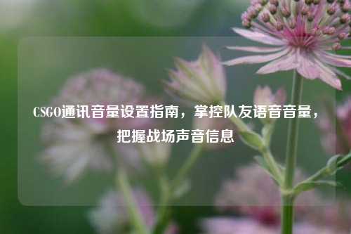 CSGO通讯音量设置指南,掌控队友语音音量,把握战场声音信息