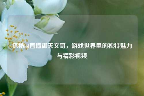 探秘lol直播御天文哥,游戏世界里的独特魅力与精彩视频