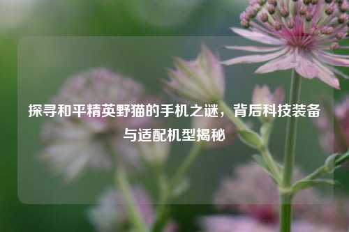 探寻和平精英野猫的手机之谜,背后科技装备与适配机型揭秘