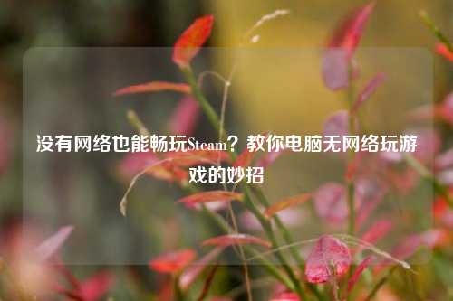 没有网络也能畅玩Steam?教你电脑无网络玩游戏的妙招