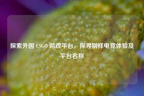 探索外国 CSGO 游戏平台,探寻别样电竞体验及平台名称