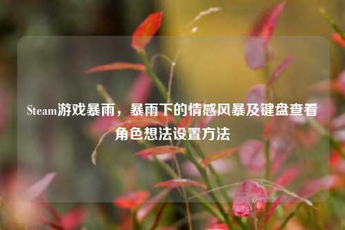 Steam游戏暴雨,暴雨下的情感风暴及键盘查看角色想法设置方法