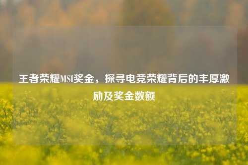 王者荣耀MSI奖金,探寻电竞荣耀背后的丰厚激励及奖金数额