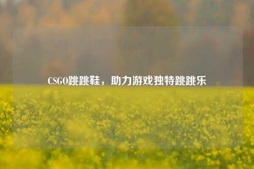 CSGO跳跳鞋,助力游戏独特跳跳乐
