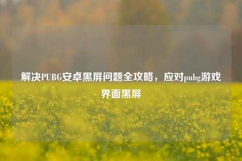 解决PUBG安卓黑屏问题全攻略，应对pubg游戏界面黑屏