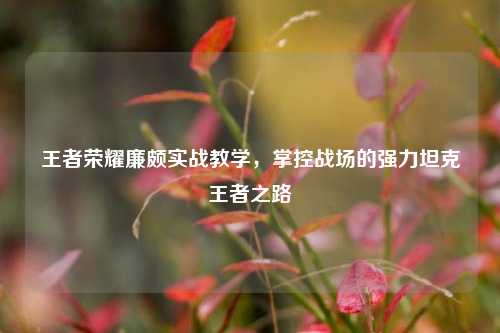 王者荣耀廉颇实战教学，掌控战场的强力坦克王者之路
