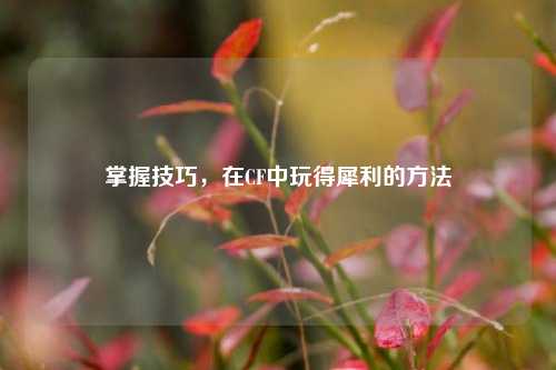 掌握技巧,在CF中玩得犀利的方法