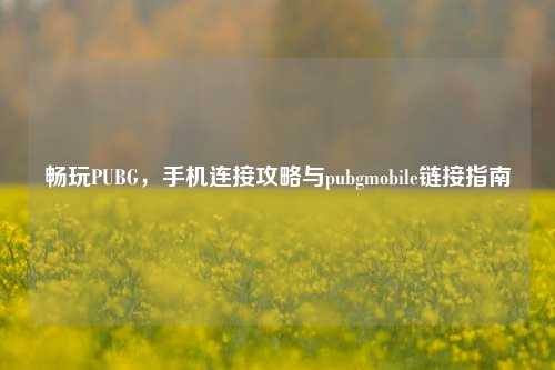 畅玩PUBG,手机连接攻略与pubgmobile链接指南