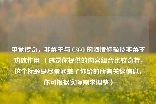 电竞传奇，韭菜王与 CSGO 的激情碰撞及韭菜王功效作用 （感觉你提供的内容组合比较奇特，这个标题是尽量涵盖了你给的所有关键信息，你可根据实际需求调整）
