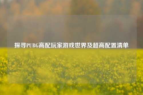 探寻PUBG高配玩家游戏世界及超高配置清单