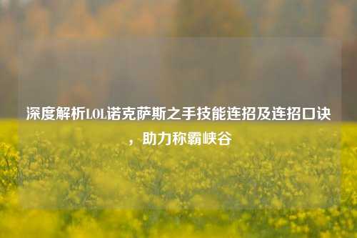 深度解析LOL诺克萨斯之手技能连招及连招口诀,助力称霸峡谷