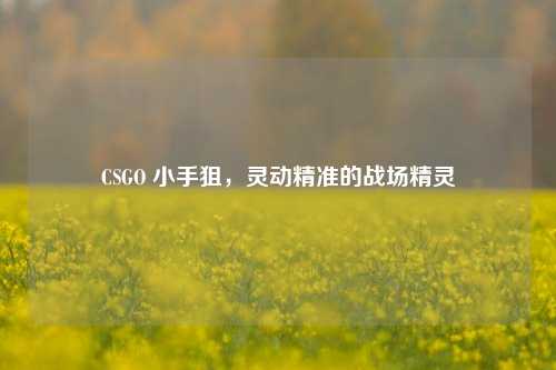 CSGO 小手狙，灵动精准的战场精灵