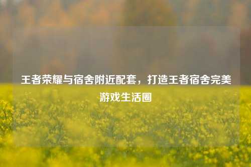 王者荣耀与宿舍附近配套，打造王者宿舍完美游戏生活圈