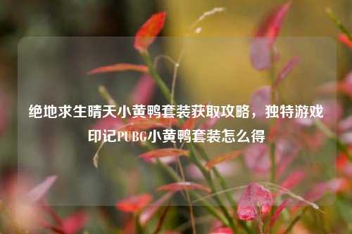 绝地求生晴天小黄鸭套装获取攻略,独特游戏印记PUBG小黄鸭套装怎么得