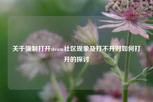 关于强制打开steam社区现象及打不开时如何打开的探讨