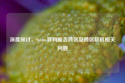 深度探讨,Steam联网能否跨区及跨区联机相关问题