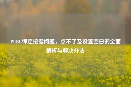 PUBG绑定按键问题,点不了及设置空白的全面解析与解决办法