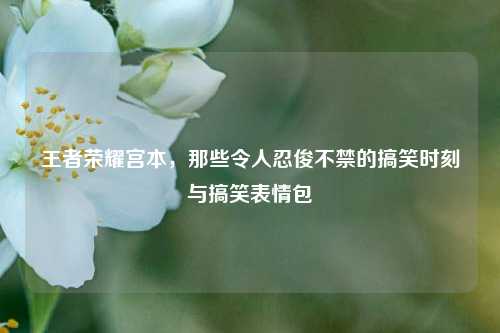 王者荣耀宫本,那些令人忍俊不禁的搞笑时刻与搞笑表情包