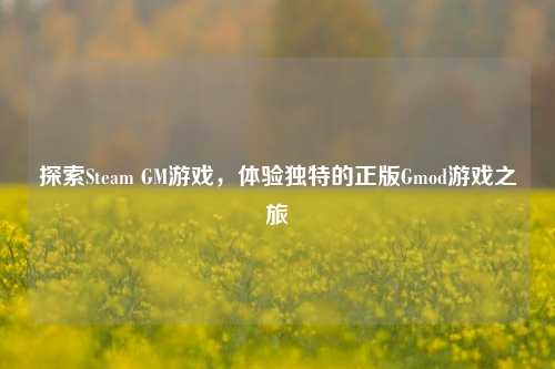 探索Steam GM游戏,体验独特的正版Gmod游戏之旅