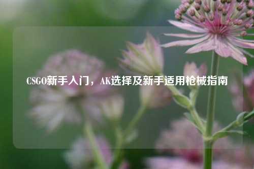 CSGO新手入门,AK选择及新手适用枪械指南
