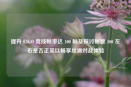 提升 CSGO 竞技帧率达 100 帧及探讨帧数 100 左右是否正常以畅享丝滑对战体验