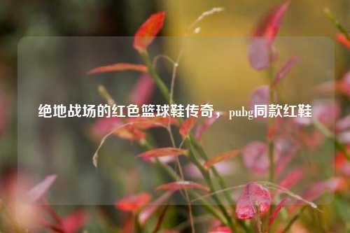 绝地战场的红色篮球鞋传奇，pubg同款红鞋