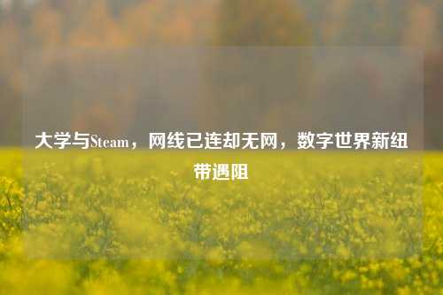 大学与Steam,网线已连却无网,数字世界新纽带遇阻