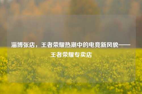 淄博张店,王者荣耀热潮中的电竞新风貌——王者荣耀专卖店