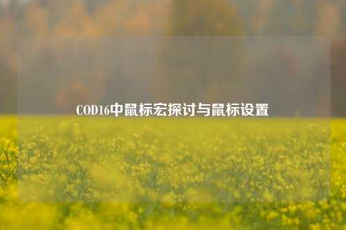 COD16中鼠标宏探讨与鼠标设置