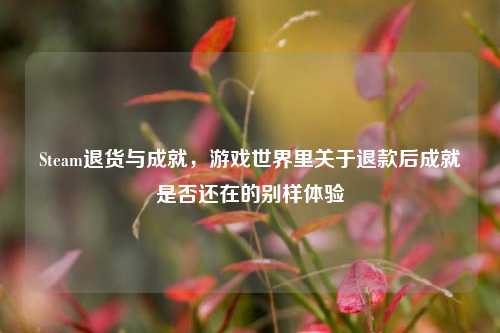 Steam退货与成就，游戏世界里关于退款后成就是否还在的别样体验