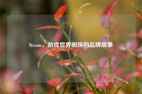 Steam，游戏世界明珠的品牌故事