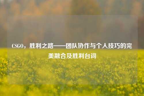 CSGO,胜利之路——团队协作与个人技巧的完美融合及胜利台词