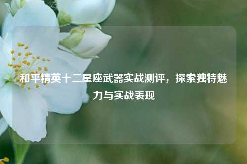 和平精英十二星座武器实战测评,探索独特魅力与实战表现