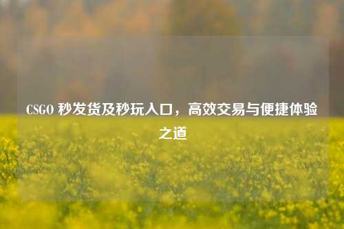 CSGO 秒发货及秒玩入口,高效交易与便捷体验之道