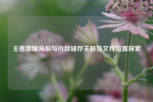 王者荣耀海报与内部储存关联及文件位置探索