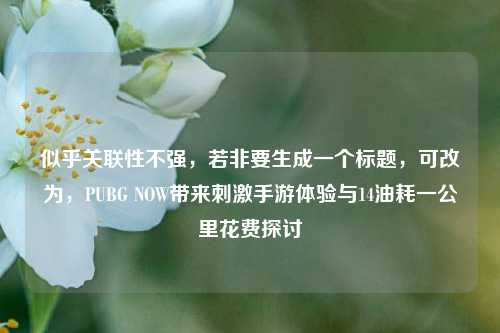 似乎关联性不强，若非要生成一个标题，可改为，PUBG NOW带来刺激手游体验与14油耗一公里花费探讨