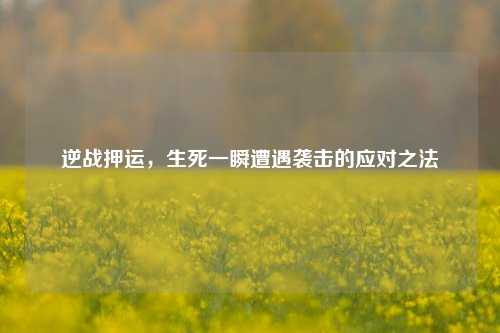 逆战押运，生死一瞬遭遇袭击的应对之法