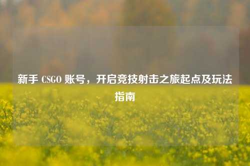 新手 CSGO 账号，开启竞技射击之旅起点及玩法指南